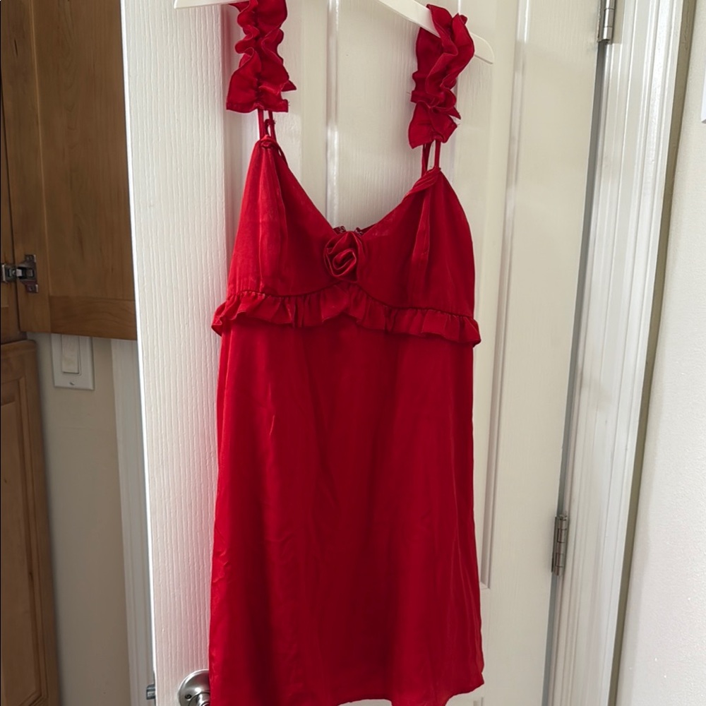 Wild Fable Red Mini Dress